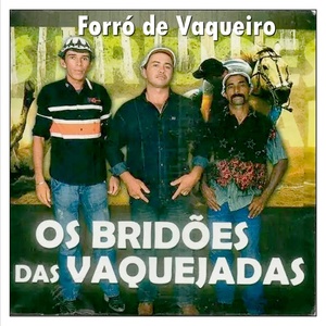 Обложка для Os Bridões das Vaquejadas - Toada do boi vaidoso - Ao Vivo