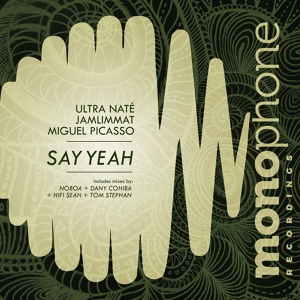 Обложка для Ultra Nate, Miguel Picasso, JamLimmat - Say Yeah