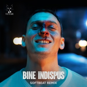 Обложка для The Motans [drivemusic.me] - Bine Indispus (Softbeat Remix)