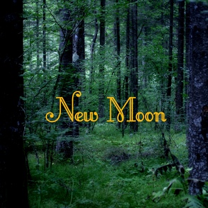 Обложка для Piano Music at Twilight - Bella's New Moon