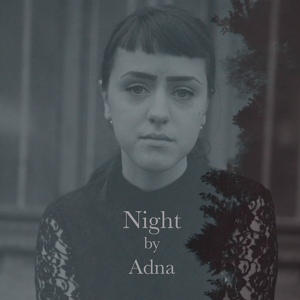 Обложка для Adna - Running (Anvin remix)