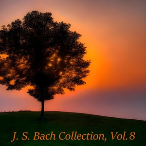 Обложка для Jascha Heifetz - Violin Partita No. 3 in C Major, BWV 1005: I. Adagio