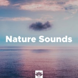 Обложка для Inside Trace & Sounds Of Nature: Thunderstorm, Rain - Refreshing (Relaxing Sounds)