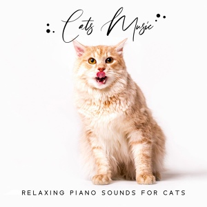 Обложка для Instrumental Piano Universe - Jazz for Cat