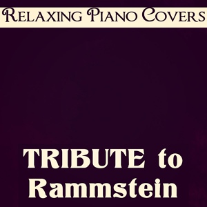 Обложка для Relaxing Piano Covers - Du Hast
