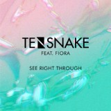 Обложка для Tensnake feat. Fiora - See Right Through