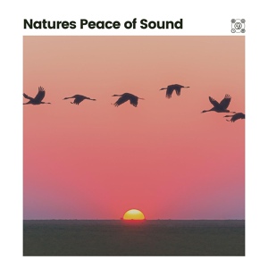 Обложка для Organic Nature Sounds - Calm Nature Sounds with Music, Pt. 21