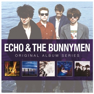 Обложка для Echo & the bunnyman - Back of love