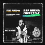 Обложка для Gordo del Funk - BSF Arena 2