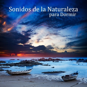 Обложка для Meditación Música Ambiente feat. Dj Chillout Sensation - Pensamiento Positivo