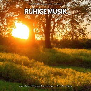 Обложка для Baby Musik, Entspannungsmusik, Schlafmusik - Ruhige Musik