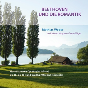 Обложка для Mathias Weber - II. Allegretto - Trio