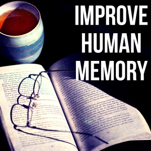 Обложка для Self Improvement Consort - Memory Exam