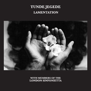 Обложка для Tunde Jegede - Heathaze