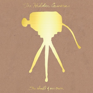 Обложка для The Hidden Cameras - Boys of Melody