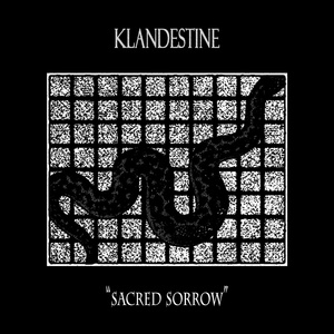 Обложка для Klandestine - Skepticism