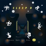 Обложка для Sleep D - Airbags