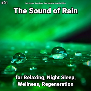 Обложка для Rain Sounds, Deep Sleep, Rain Sounds by Angelika Whitta - Rain
