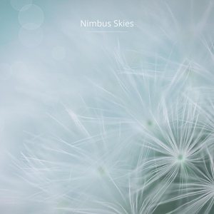 Обложка для Nimbus Skies - Ease