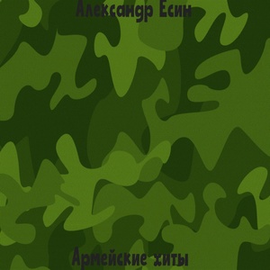 Обложка для Александр Есин - Солдат на поле боя