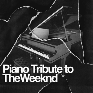 Обложка для Piano Tribute Players - Angel