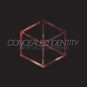 Обложка для Concealed Identity - Zahir