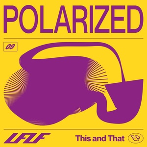 Обложка для Polarized - This and That