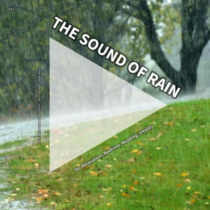 Обложка для Rain Sounds by Malek Lovato, Rain Sounds, Yoga Music - Rain Sounds Without Music