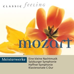 Обложка для Wiener Mozart Ensemble, Herbert Kraus, Bernd Heiser - Konzert für Horn und Orchester No. 3 in E-Flat Major, K. 447: II. Romance in E-Flat Major