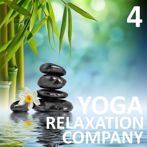 Обложка для Yoga Relaxation Company - The Basic Building Blocks of Reality