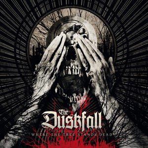 Обложка для The Duskfall - Endgame