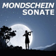 Обложка для Mondscheinsonate, Beethoven Academy Orchestra, Fur Elise - Mondscheinsonate (Klaviersonate Nr. 14)