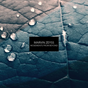 Обложка для Marvin Zeyss - Ending