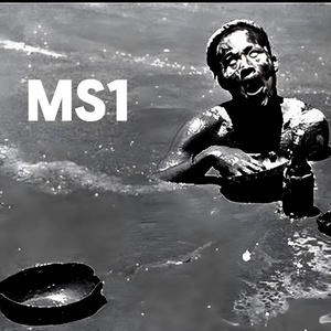 Обложка для LARI - Ms1