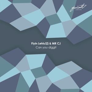 Обложка для Flyin Lehiu$$, MR CJ - Haus Guru