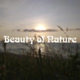 Обложка для Narcotic Chill - Beauty of Nature