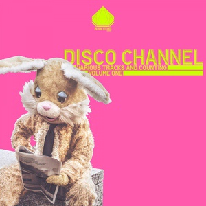 Обложка для Disco Channel - Satchinandha