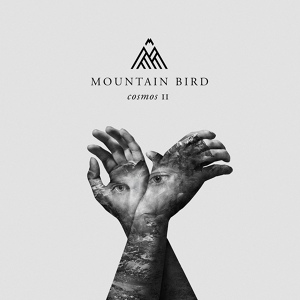 Обложка для Mountain Bird - The Visitor