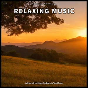 Обложка для Wellness, Yoga, Musica Relajante - Invigorating Melodies