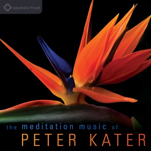 Обложка для Peter Kater - At Heaven's Gate