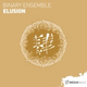 Обложка для Binary Ensemble - Elusion
