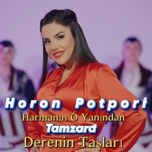 Обложка для Aylin Demir - Harmanın O Yanından / Tamzara / Derenin Taşları