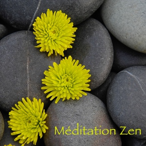 Обложка для Oasis de Méditation - Méditation