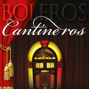 Обложка для Dj Bolero - Eres