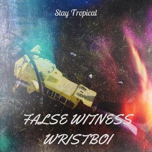 Обложка для Wristboi - False Witness