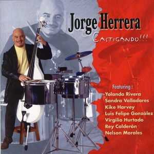 Обложка для Jorge Herrera - A Bailar