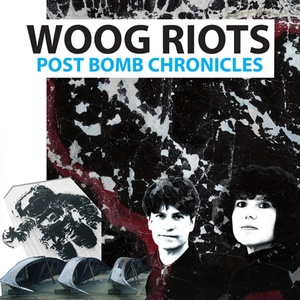 Обложка для Woog Riots - Last Beat