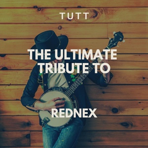 Обложка для TUTT - Wild And Free (Karaoke Version Originally Performed By Rednex)