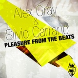 Обложка для Silvio Carrano, Alex Gray - Pleasure from the Beats