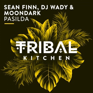 Обложка для Sean Finn, DJ Wady, Moondark - Pasilda